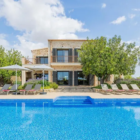Villa Viduleto